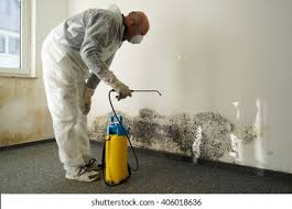 Best Comprehensive Air Testing for Mold Contaminants  in Pendleton, OR